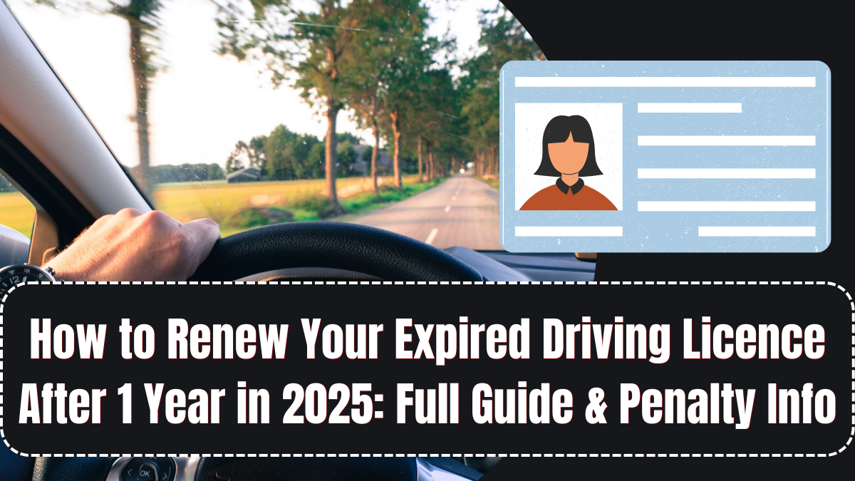 How to Renew Your Expired Driving Licence After 1 Year in 2025: Full Guide & Penalty Info