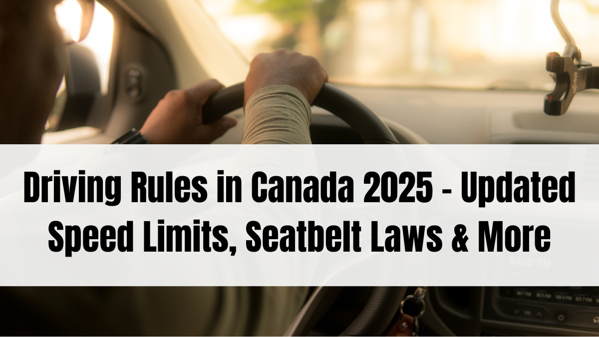Driving Rules in Canada 2025 – Updated Speed Limits, Seatbelt Laws & More